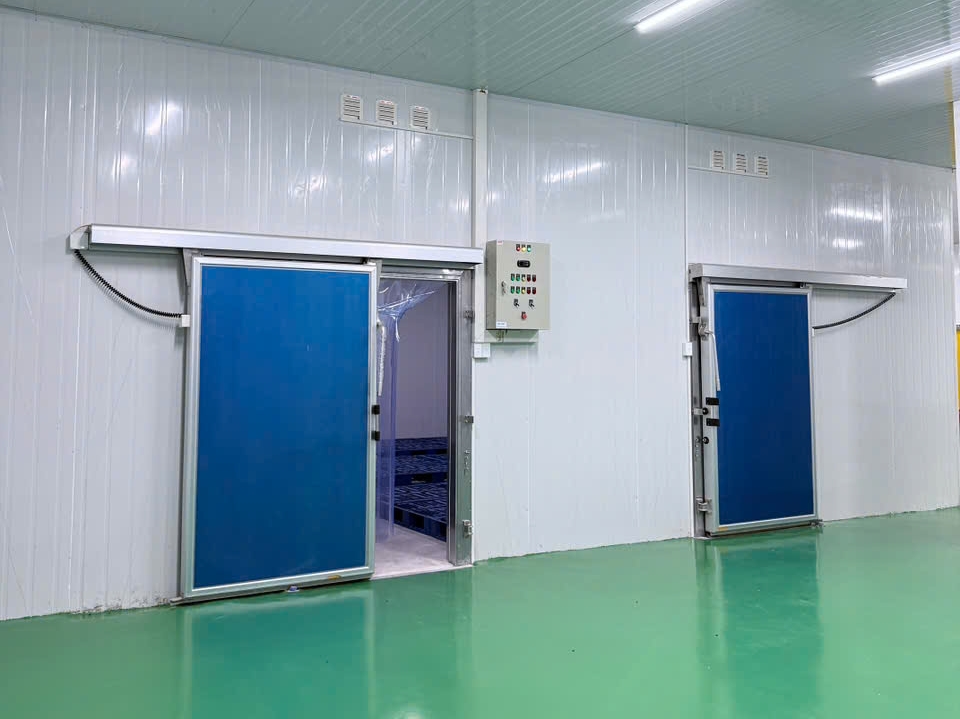 NHÀ MÁY CHẾ BIẾN VÀ CẤP ĐÔNG SẦU RIÊNG TIÊU CHUẨN XUẤT KHẨU - BUÔN HỒ